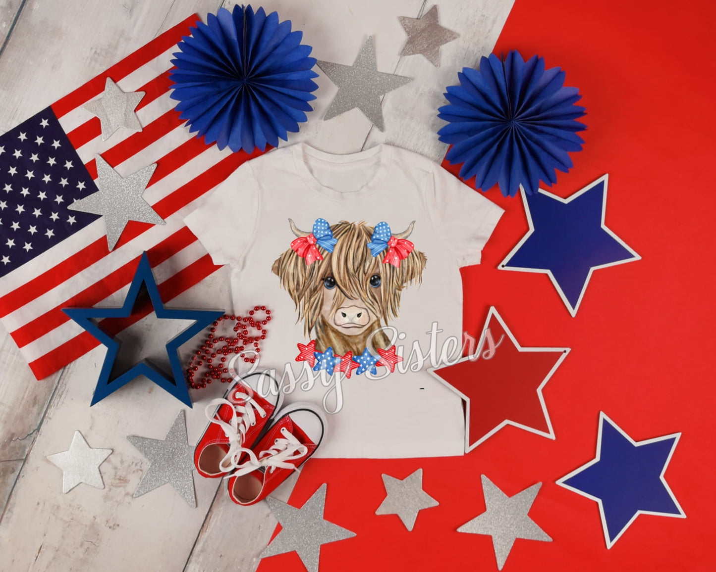 AMERICAN HIGHLAND COW - TRANSFER