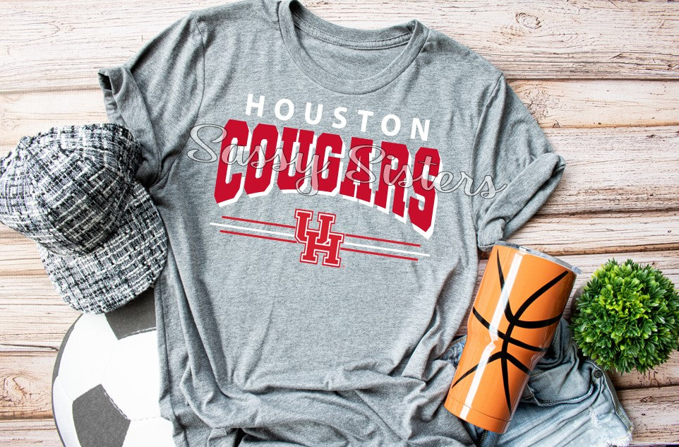 HOUSTON COUGARS ARCH