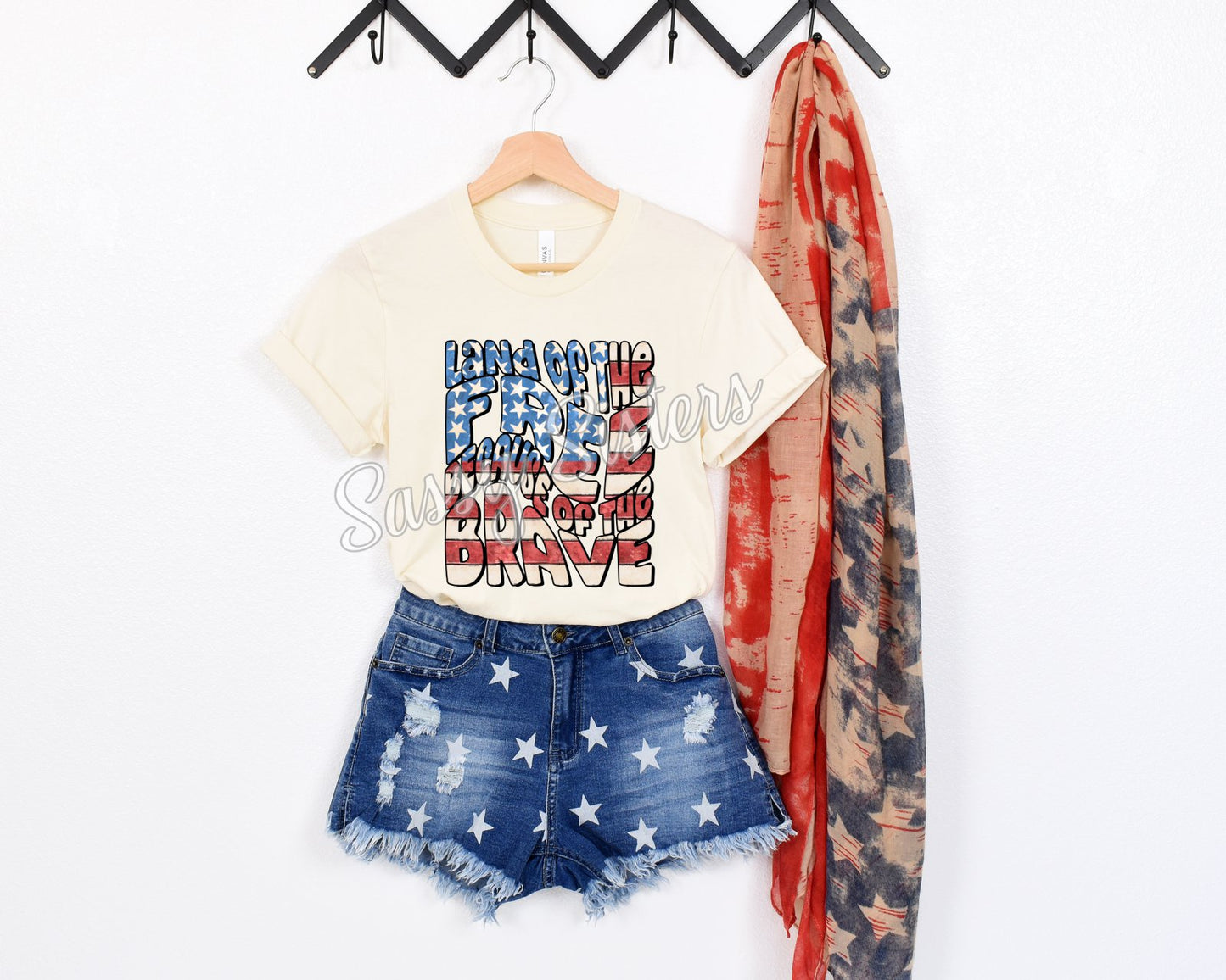 LAND OF THE FREE BECAUSE OF THE BRAVE WAVY FLAG - TRANSFER