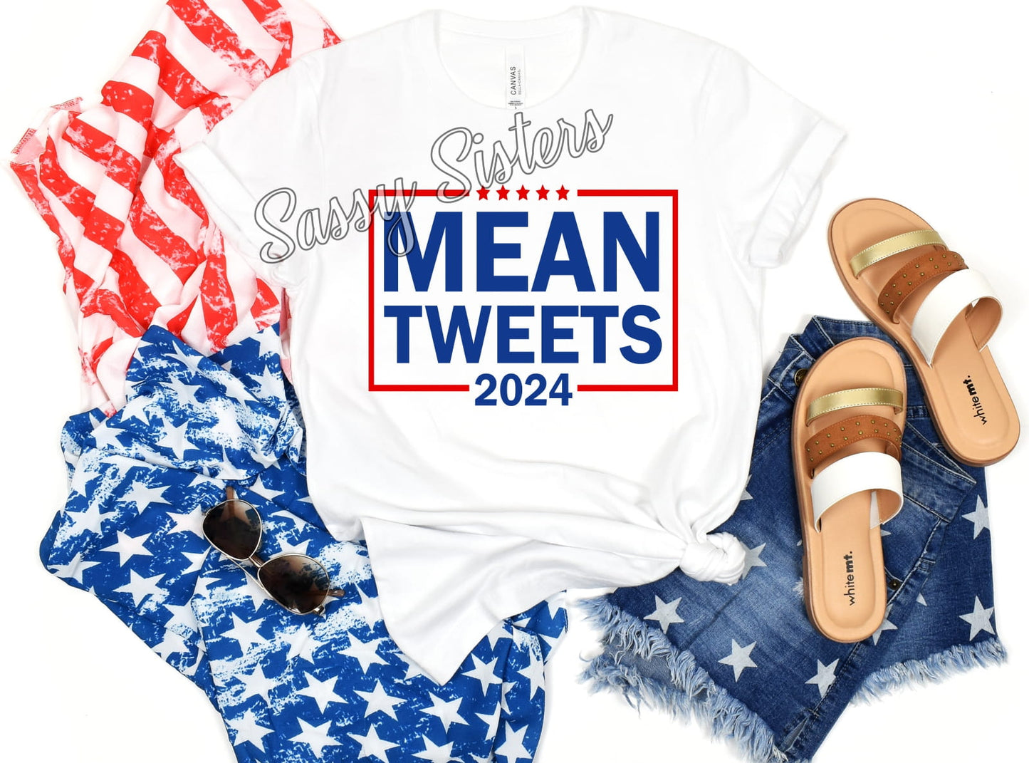 MEAN TWEET 2024 - TRANSFER