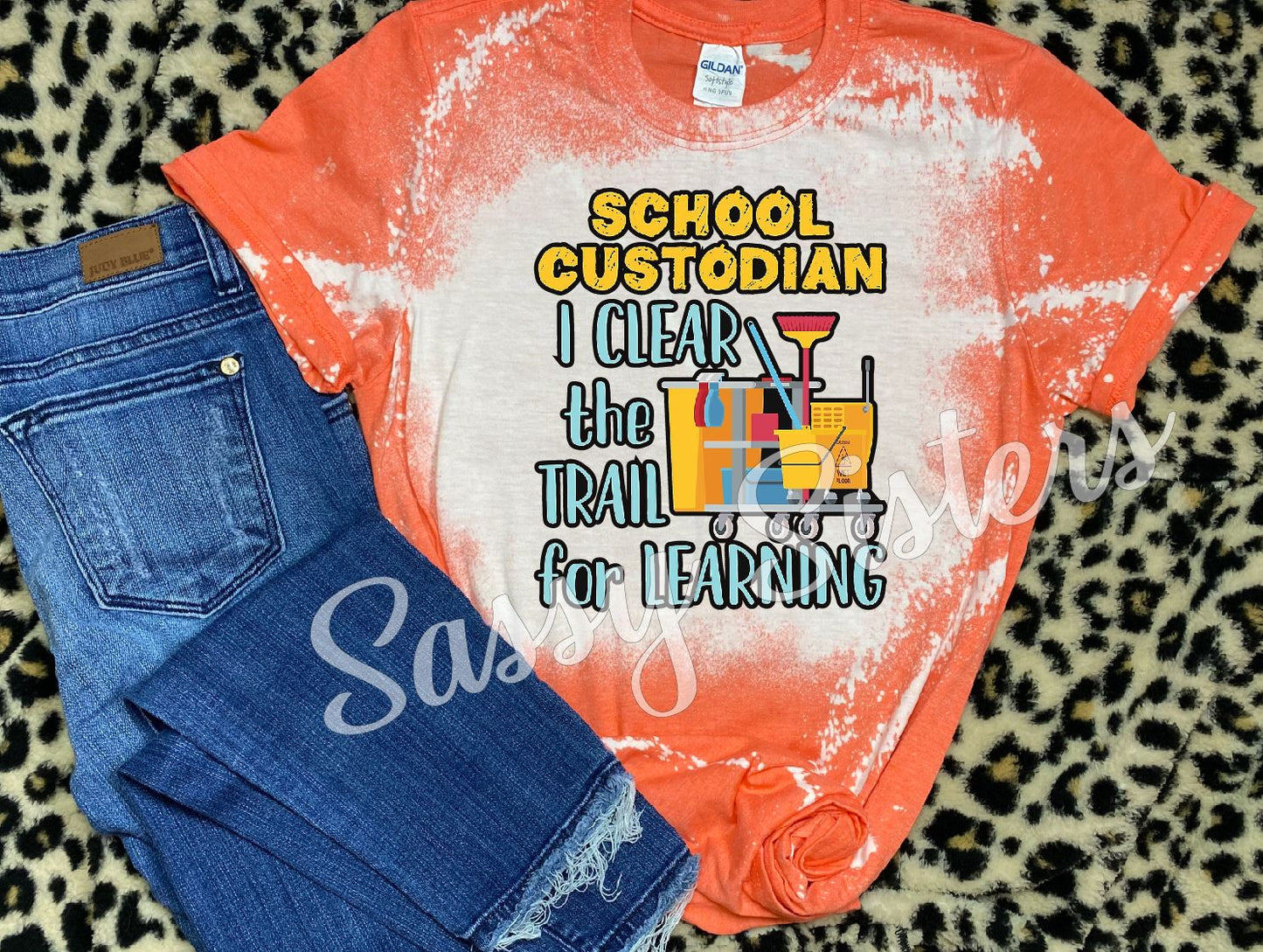 SCHOOL CUSTODIAN - TRANSFER