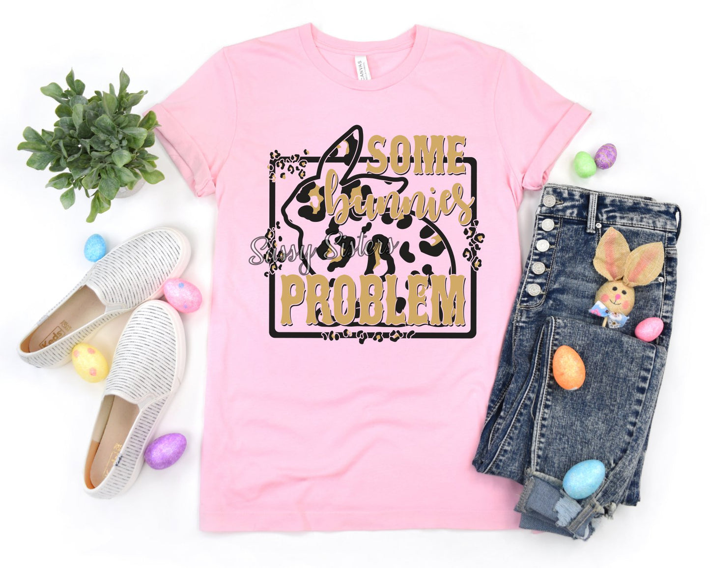 SOME BUNNIES PROBLEM - TRANSFER