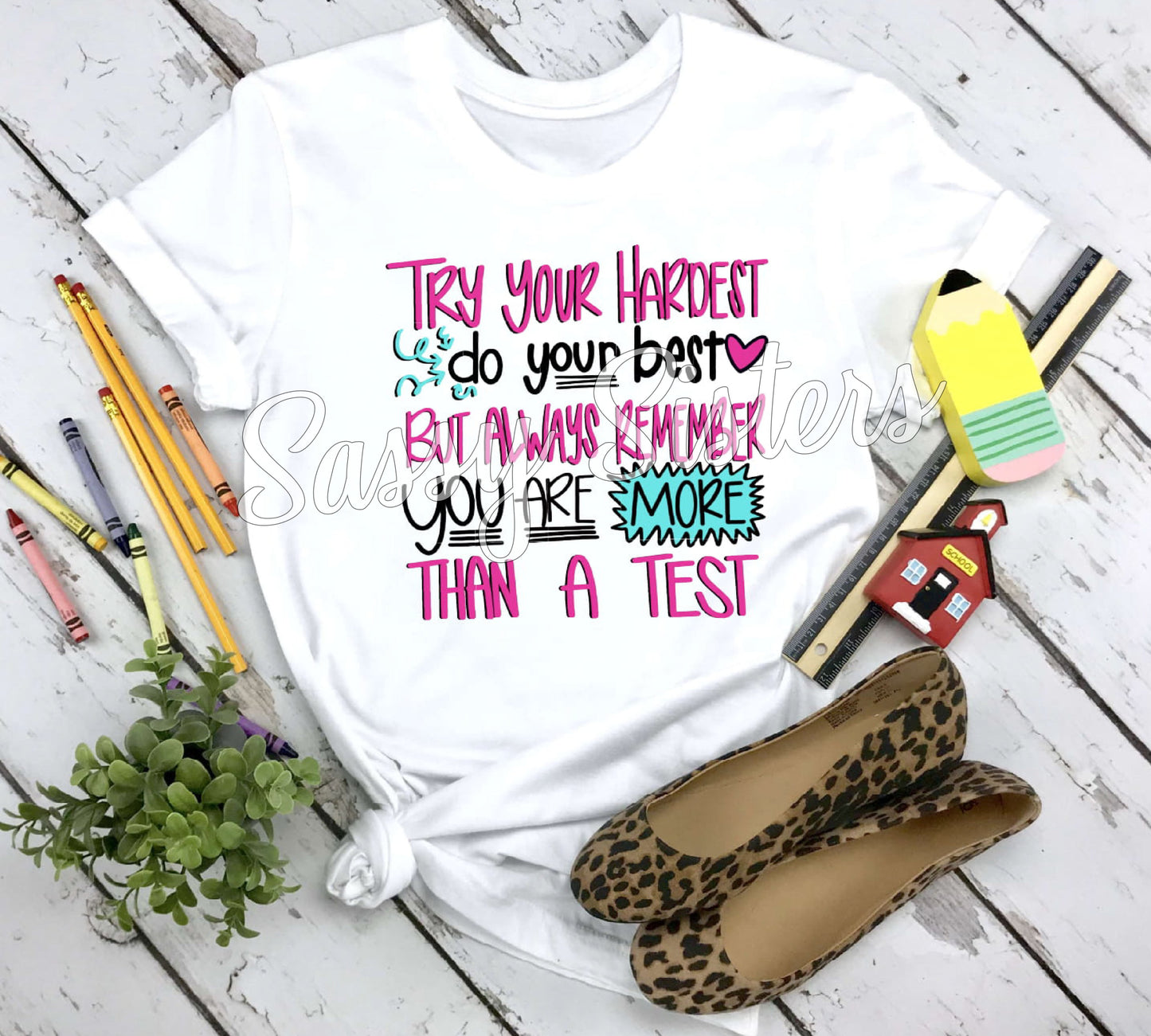TRY YOUR HARDEST DO YOUR BEST ALWAYS REMEMBER YOU ARE MORE THAN A TEST - TRANSFER