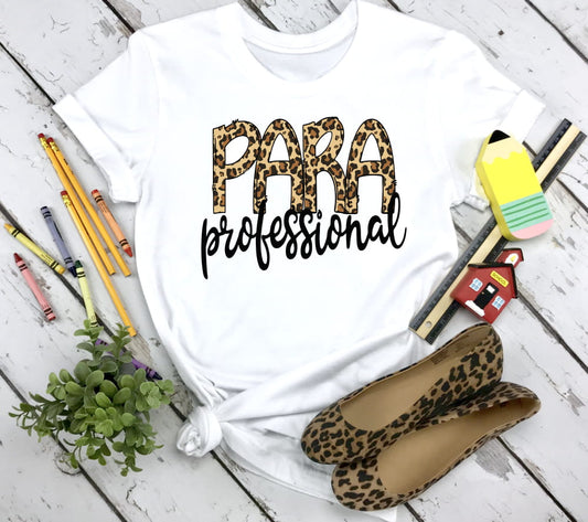 PARAPROFESSIONAL - TRANSFER